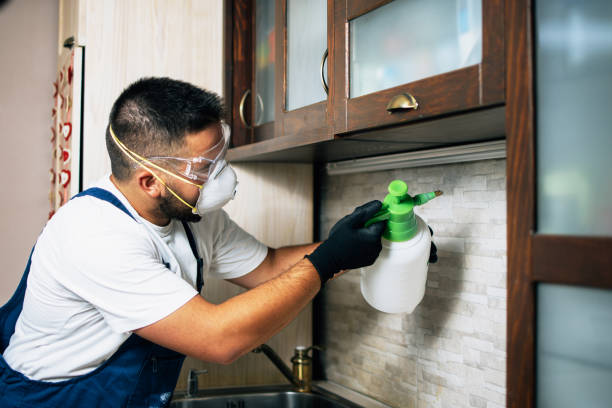 Trusted Halls, TN Pest Control Experts