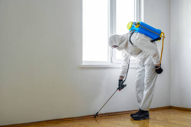 Halls, TN Pest Control Company